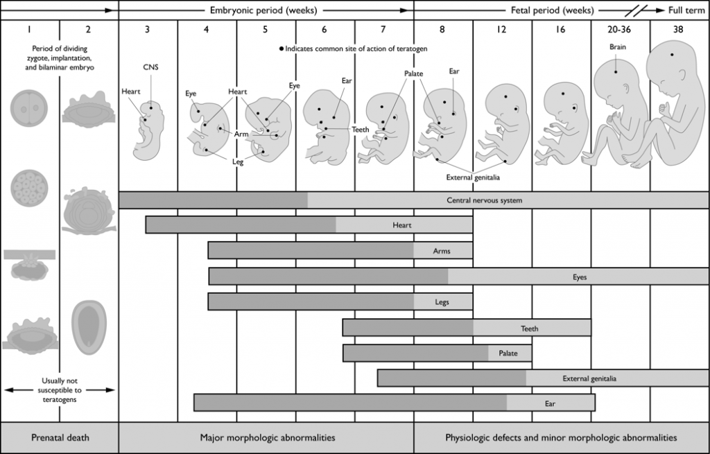 Critical Windows of Vulnerability
